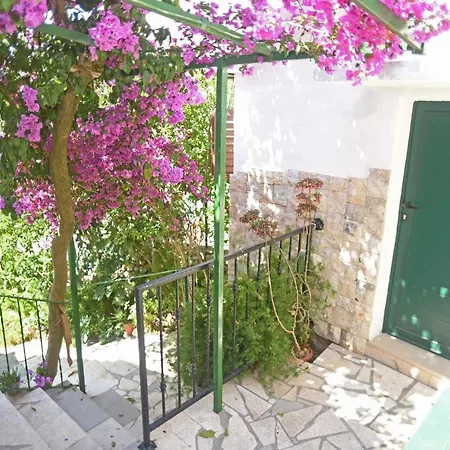 Veronika * Veliki Drvenik