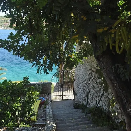 Veronika Veliki Drvenik