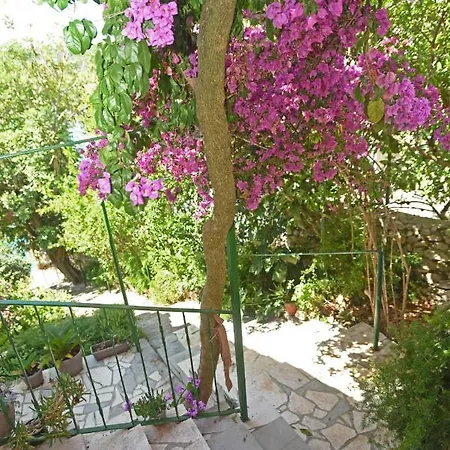 Veronika Сasa de vacaciones Veliki Drvenik