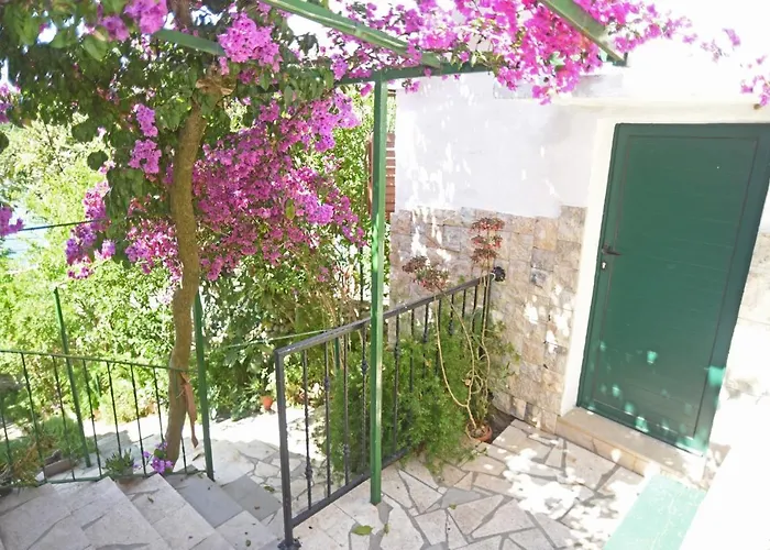 Veronika * Veliki Drvenik