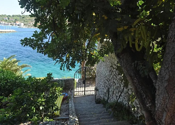 Veronika Veliki Drvenik