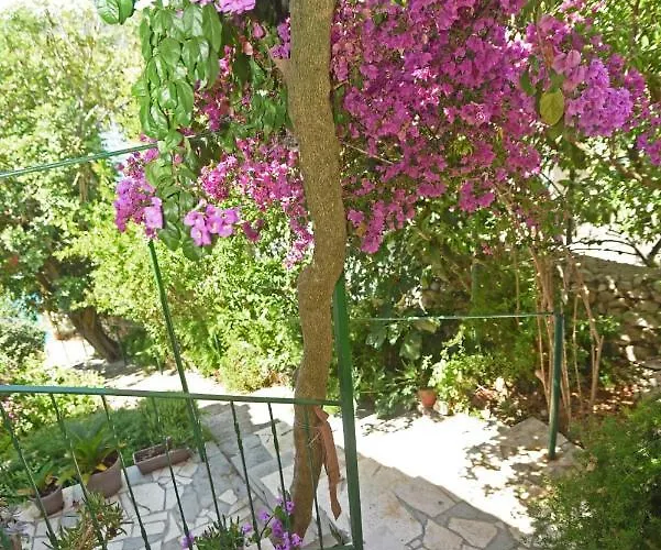 Veronika Feriehus Veliki Drvenik