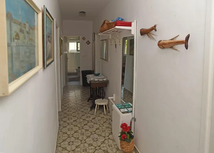 Veronika * Veliki Drvenik