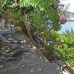 Nyaraló Veronika *