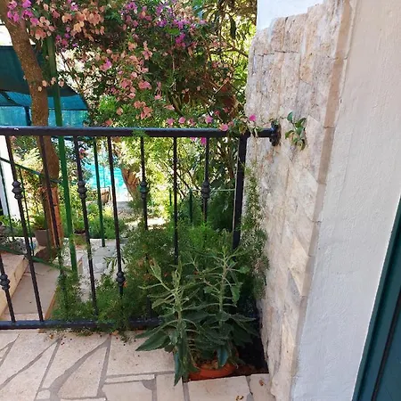 Veronika Σπίτι διακοπών *