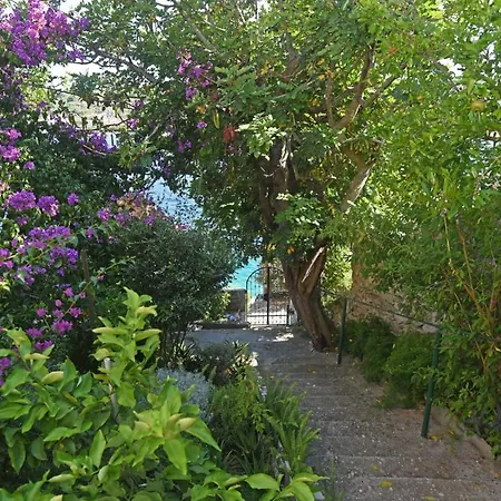 Hébergement de vacances Veronika