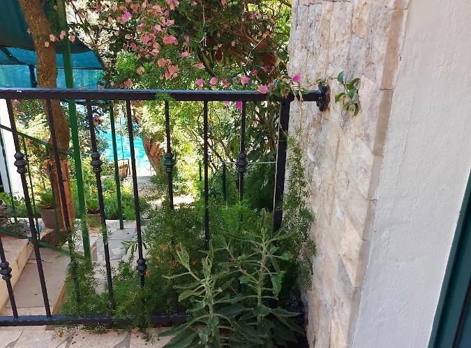 Veronika Tatil Evi *